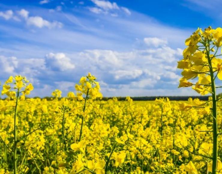 Comment le BIOFIOUL va vous permettre de conserver votre chaudière Fioul ? Votre fournisseur de Fioul dans l’Orne vous informe 